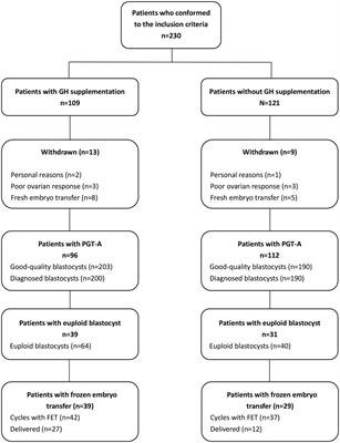 Growth hormone supplementation ameliorates blastocyst euploidy rates and improves pregnancy outcomes in women undergoing preimplantation genetic testing for aneuploidy cycles